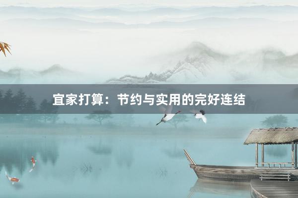 宜家打算:节约与实用的完好连结
